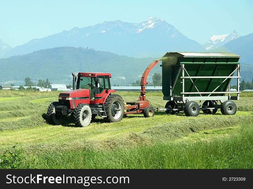 Farmer in the field havesting hay. Farmer in the field havesting hay