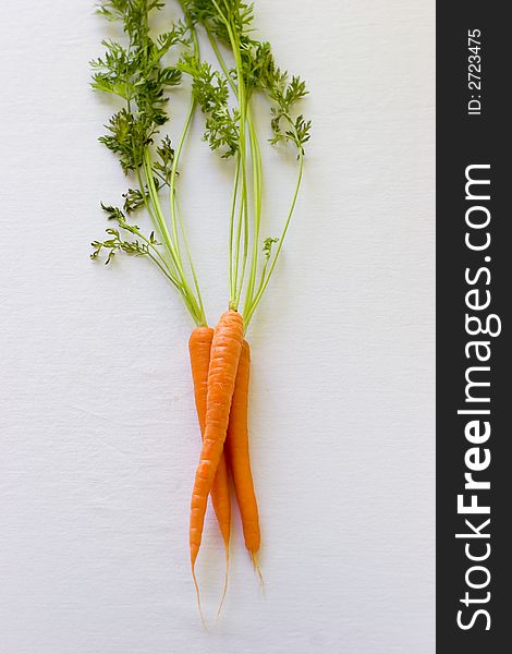 A bunch of garden fresh carrots ready to be eaten or cooked