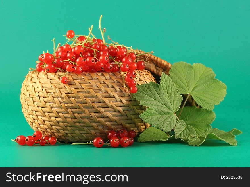 Berries of a red currant in a basket on a green background. Berries of a red currant in a basket on a green background.