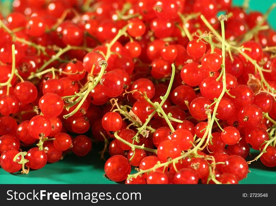 Berries Of A Red Currant.