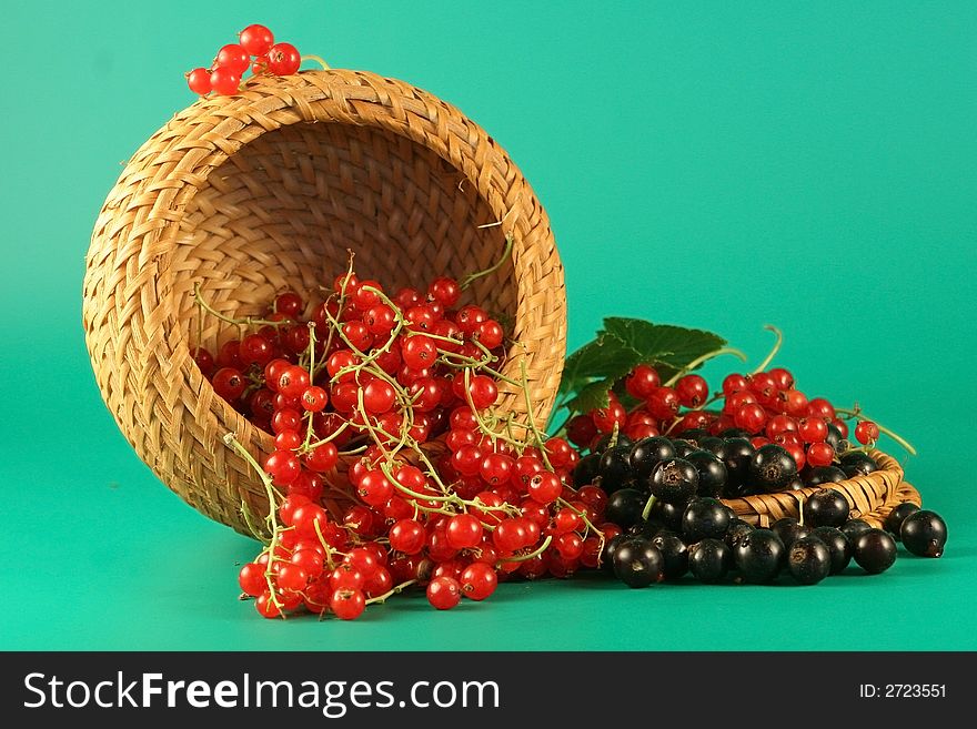 Berries of a red and black currant in a basket. Berries of a red and black currant in a basket.