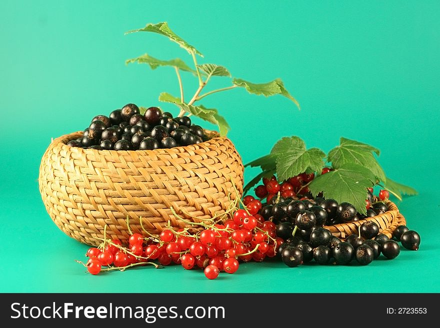 Berries of a red and black currant in a basket. Berries of a red and black currant in a basket.