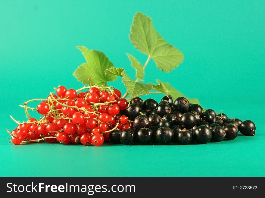 Berries of a red and black currant.