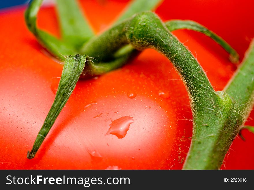 Close-up of red tomatoes with stem