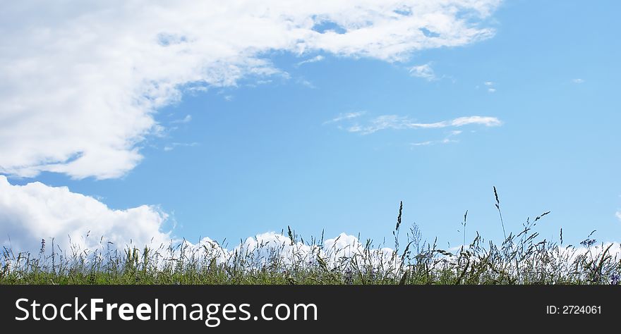 Clouds in a grass.