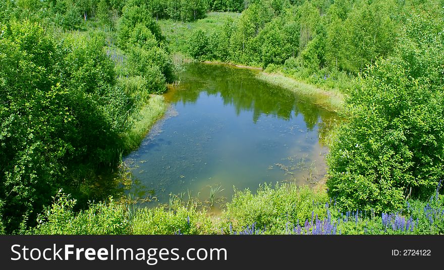 A picturesque corner in a wood; not the big lake; good vacation spot. A picturesque corner in a wood; not the big lake; good vacation spot.