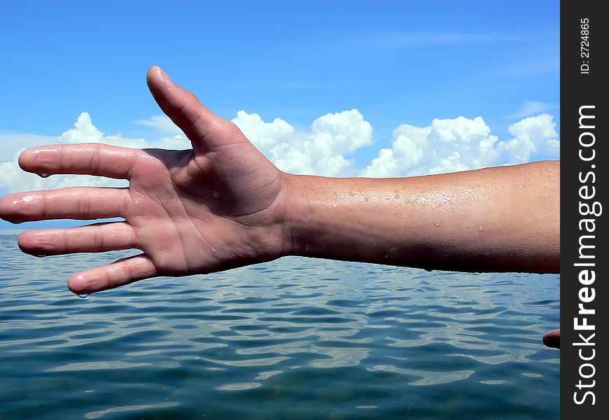 One palm above water on a background of the sea