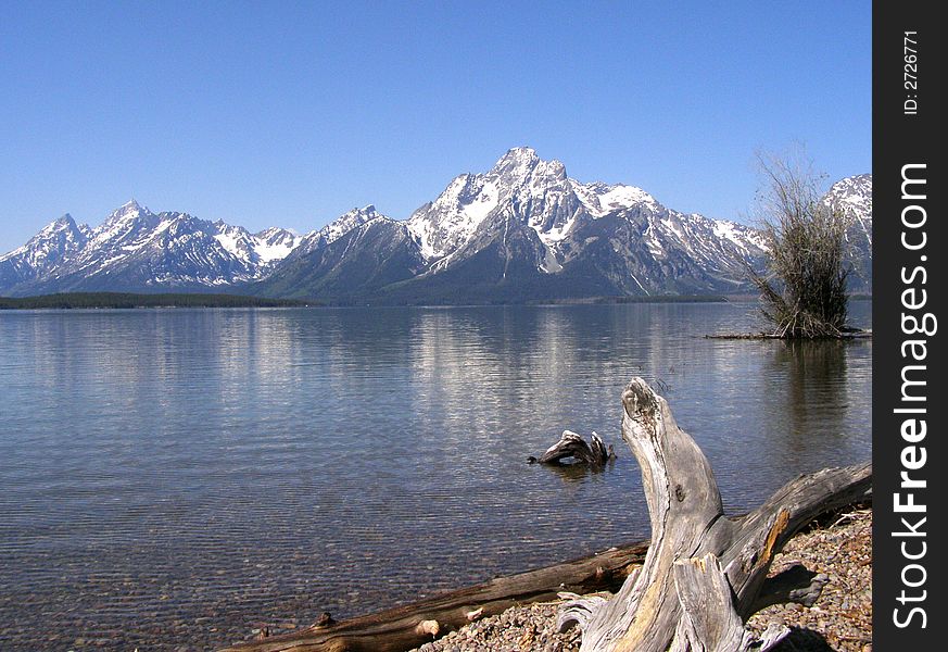 Mt. moran seen from the lakeshore trail at Colter Bay on Jackson's Lake. Mt. moran seen from the lakeshore trail at Colter Bay on Jackson's Lake