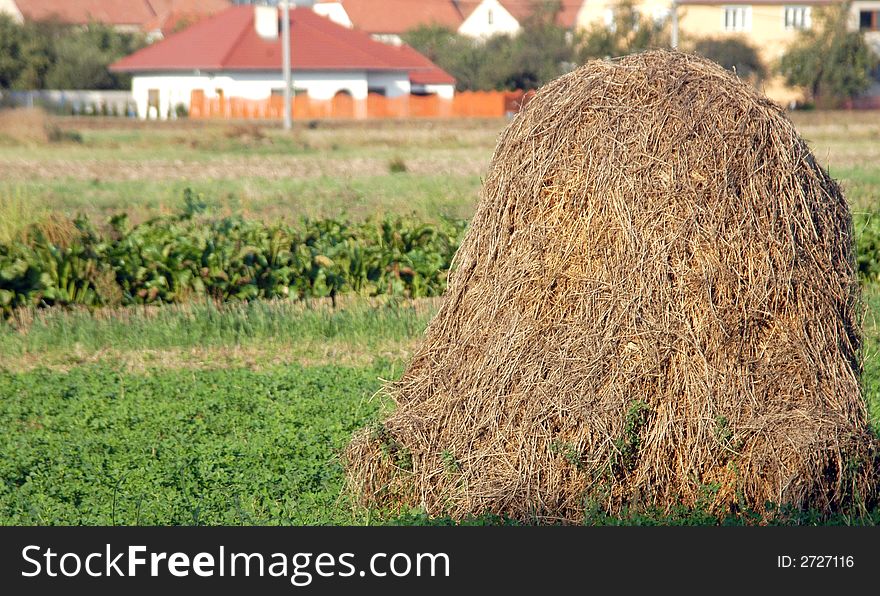 A hay in a field with a house at the background. A hay in a field with a house at the background