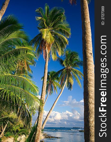 Beautiful tropical vacation beach scene with a deep blue sky scattered white clouds white sand and the sea. The perfect place for relaxing. Room for text. Beautiful tropical vacation beach scene with a deep blue sky scattered white clouds white sand and the sea. The perfect place for relaxing. Room for text.