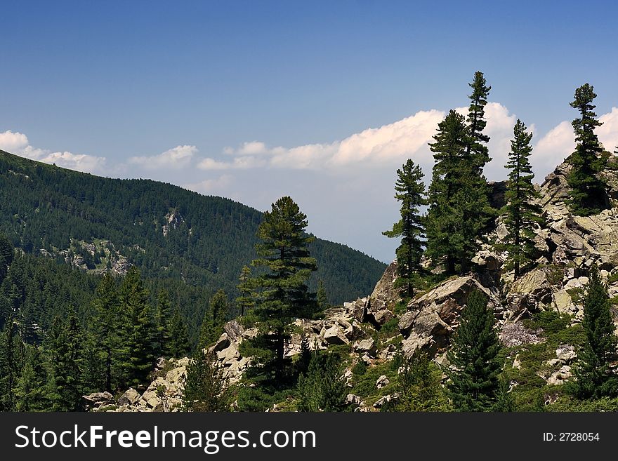 Mountain scenery with forest and slopes. Mountain scenery with forest and slopes