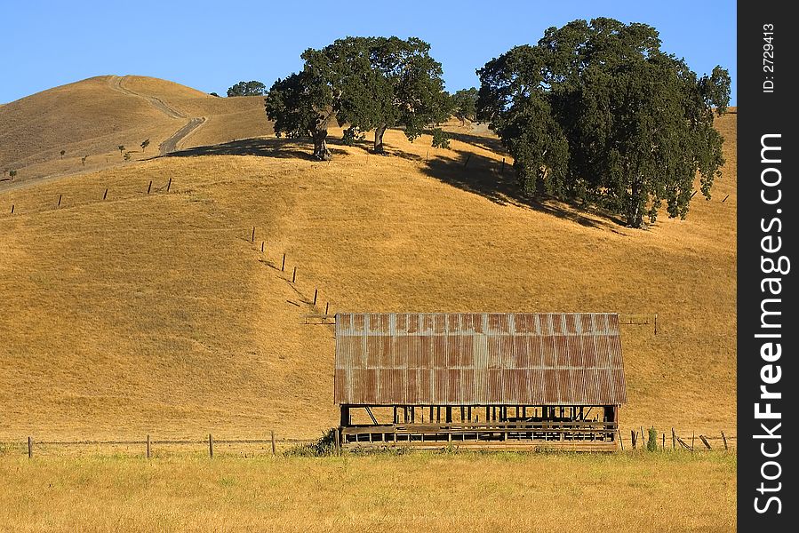 Old tin roof barn in field of grass