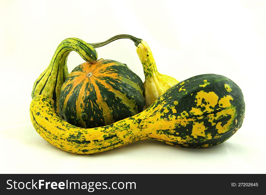 Autumn decorative pumpkins green yellow