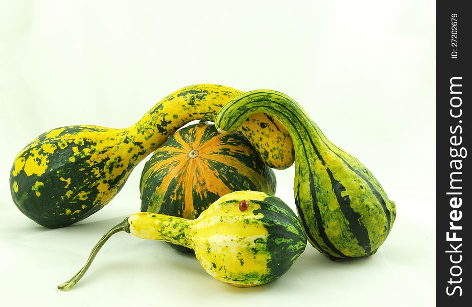 Autumn decorative pumpkins green yellow