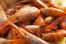 Boiled Shrimps Stock Photography Boiled Shrimps Stock Photography