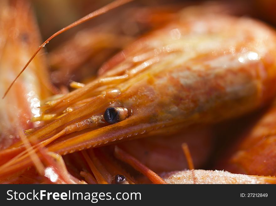 Boiled shrimps are waiting in the wings to be eaten