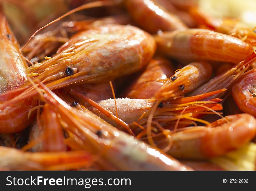 Boiled Shrimps
