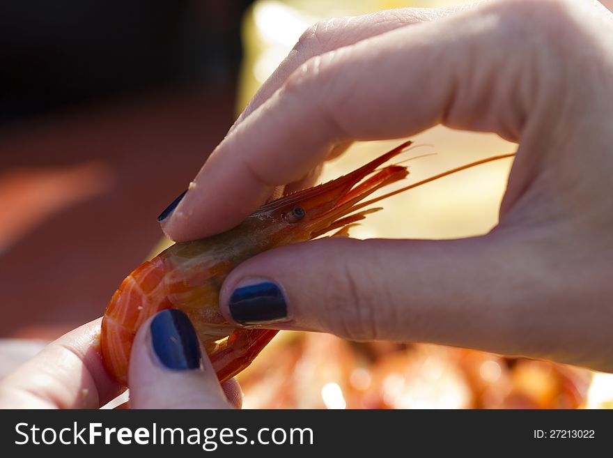 Shrimp in hands