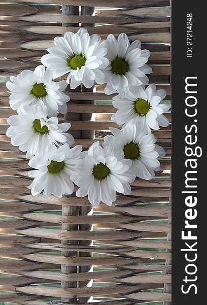 Wreath of daisies on willow basket weave. Wreath of daisies on willow basket weave