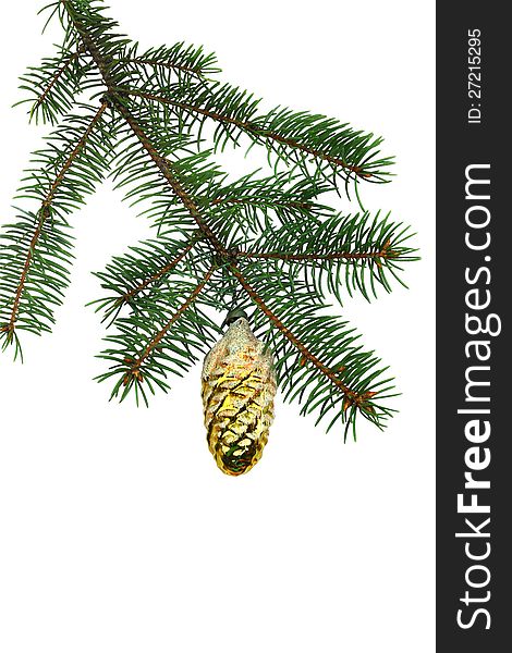 Fir branches with gilt cone toy for Christmas design on white