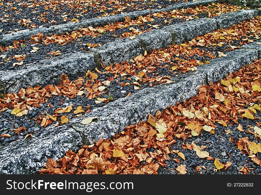 Fallen leaves on the stairs in the park