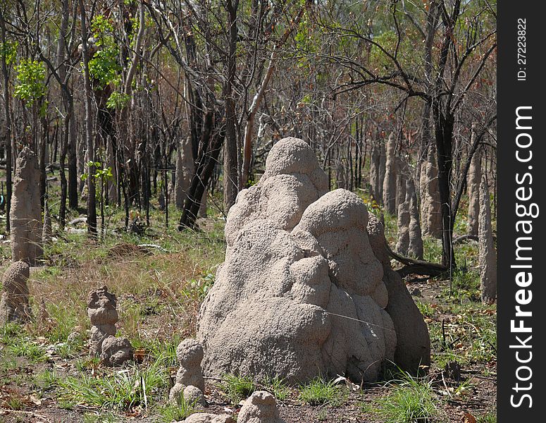 NORTHERN TERRITORY, AUSTRALIA - NOVEMBER 19: House of the termites, November 19, 2007 in  Northern territory, Australia.