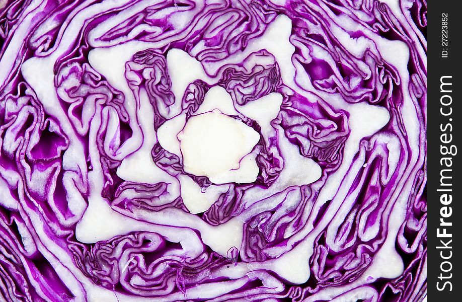 Close up image of a red cabbage section. Close up image of a red cabbage section