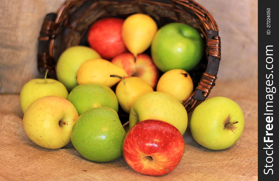 A basket of ripe apples and pears of different varieties