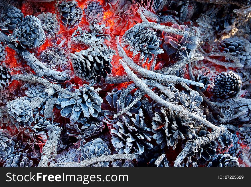 Red hot coals pine cones