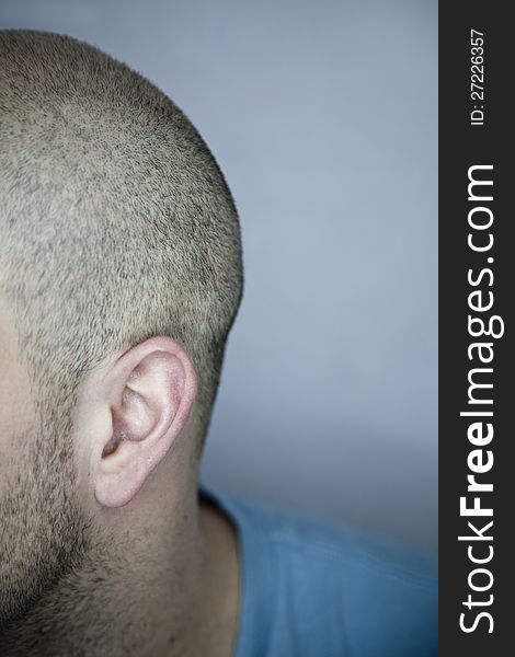 Back of a Shaved Head &#x28;ear detail&#x29