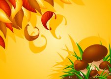 Autumn Background With Mushrooms And Leaves Royalty Free Stock Photos Autumn Background With Mushrooms And Leaves Royalty Free Stock Photos