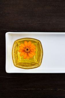 Decorative Zinnia Vase Stock Image Decorative Zinnia Vase Stock Image