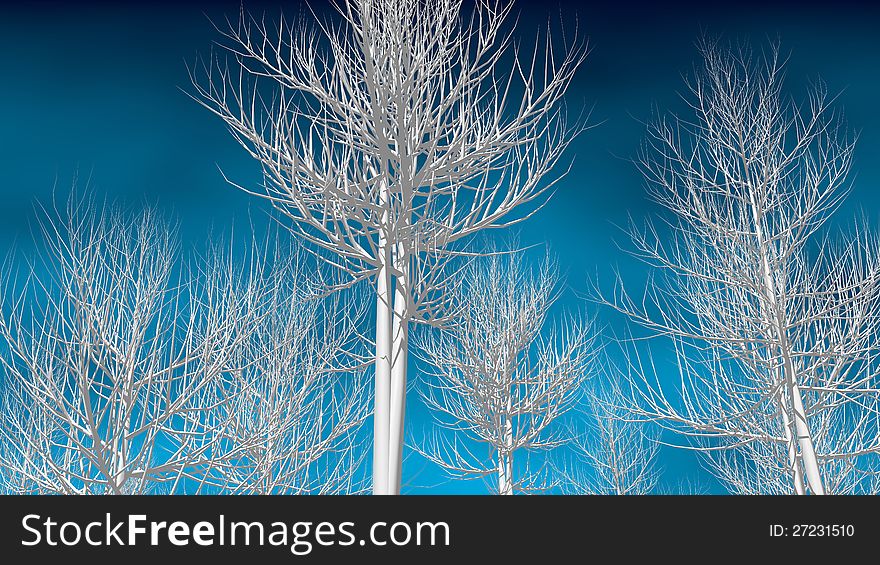 Abstract 3d trees on the blue sky background. Abstract 3d trees on the blue sky background