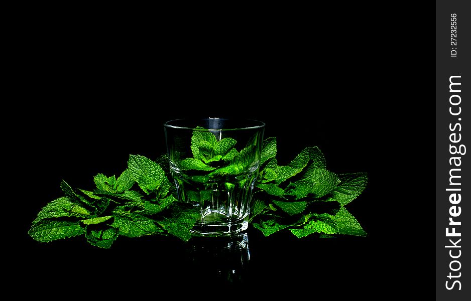 Leaves Mint in glass on black background. Leaves Mint in glass on black background