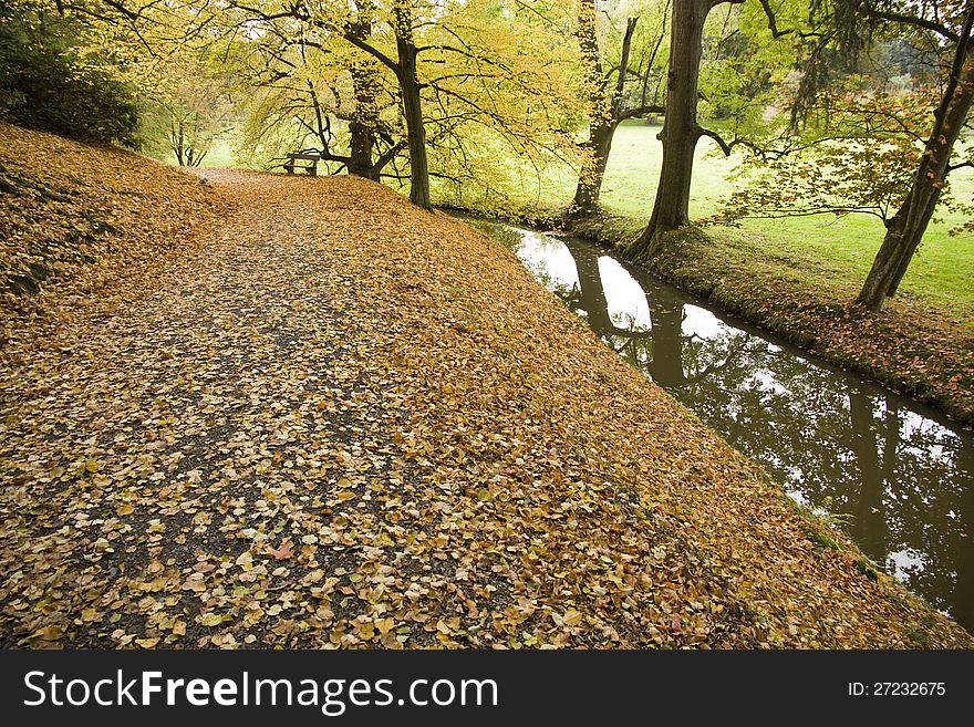 Engaging way yellow leaves in the park, stream flowing along the way