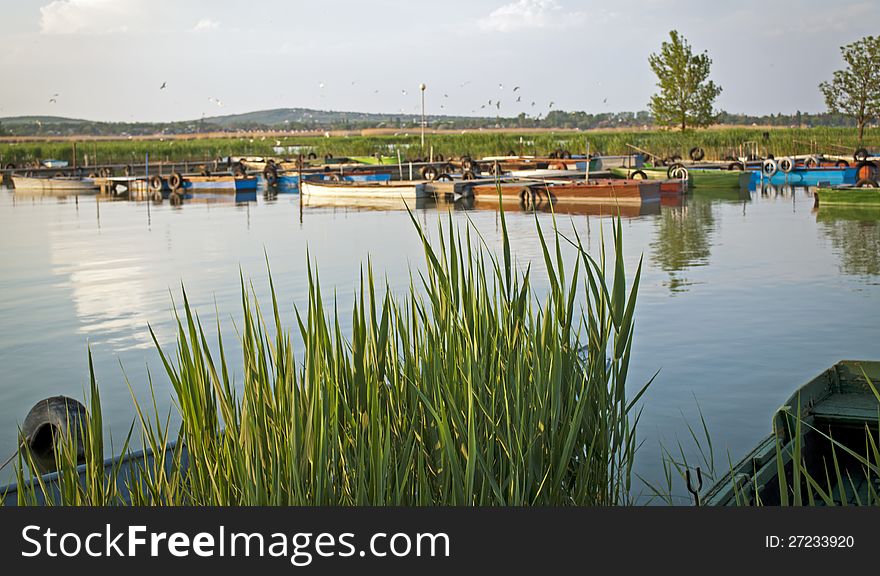 The Lake with Fishing Boats in Hungary