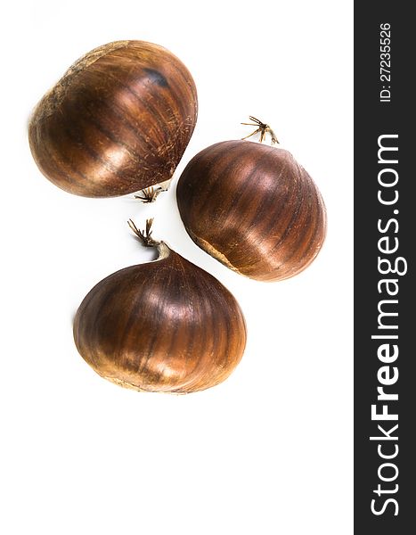 Nice shot of three chestnuts isolated on white background