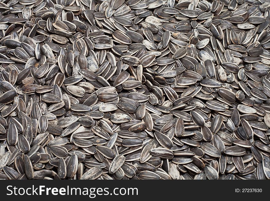 Close up sunflower seed backgrounds and textures.