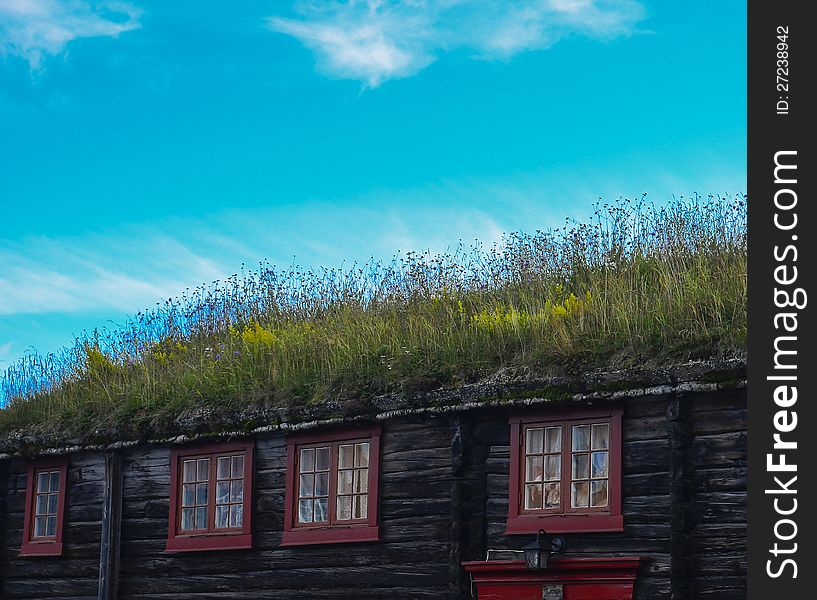 Old house with grass on roof