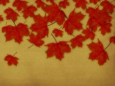 Paper With Red Leaves Royalty Free Stock Images Paper With Red Leaves Royalty Free Stock Images