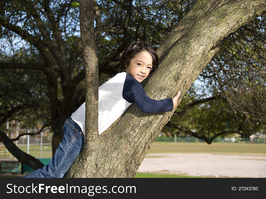 Boy In Tree