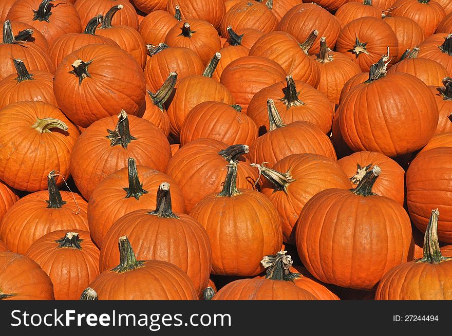Pumpkins Pumpkins2