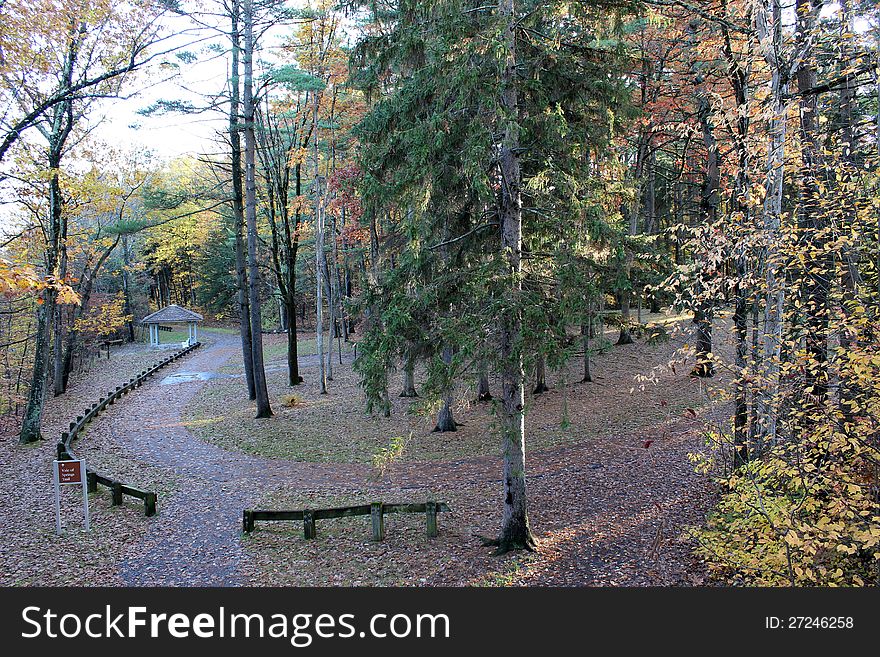 Meandering path in the woods covered with colorful foliage of the trees surrounding it. Meandering path in the woods covered with colorful foliage of the trees surrounding it.