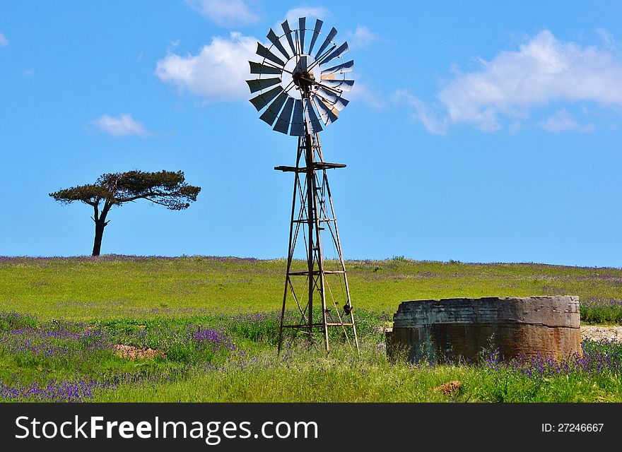 Landscape with windmill water pump on a farm swartland south africa