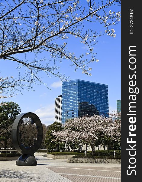 High rise architecture in Shinjuku district, blue sky background and cherry. Tokyo, Japan. High rise architecture in Shinjuku district, blue sky background and cherry. Tokyo, Japan.