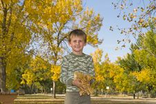 Little Boy Plays With Colorful Leaves In Air Stock Photos Little Boy Plays With Colorful Leaves In Air Stock Photos