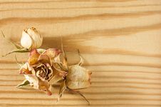 Dry Rose Flowers On Rough Wooden Table Stock Photo Dry Rose Flowers On Rough Wooden Table Stock Photo