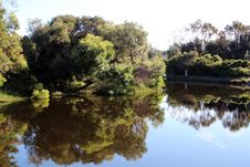 Reflections Of Australian Trees In Blue Lake Stock Image