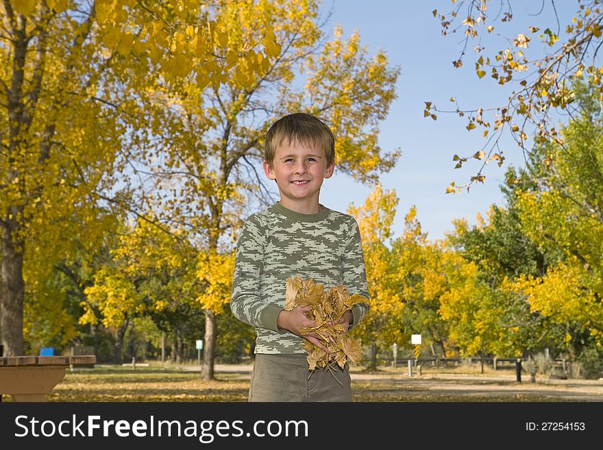 Little boy plays with colorful leaves in air