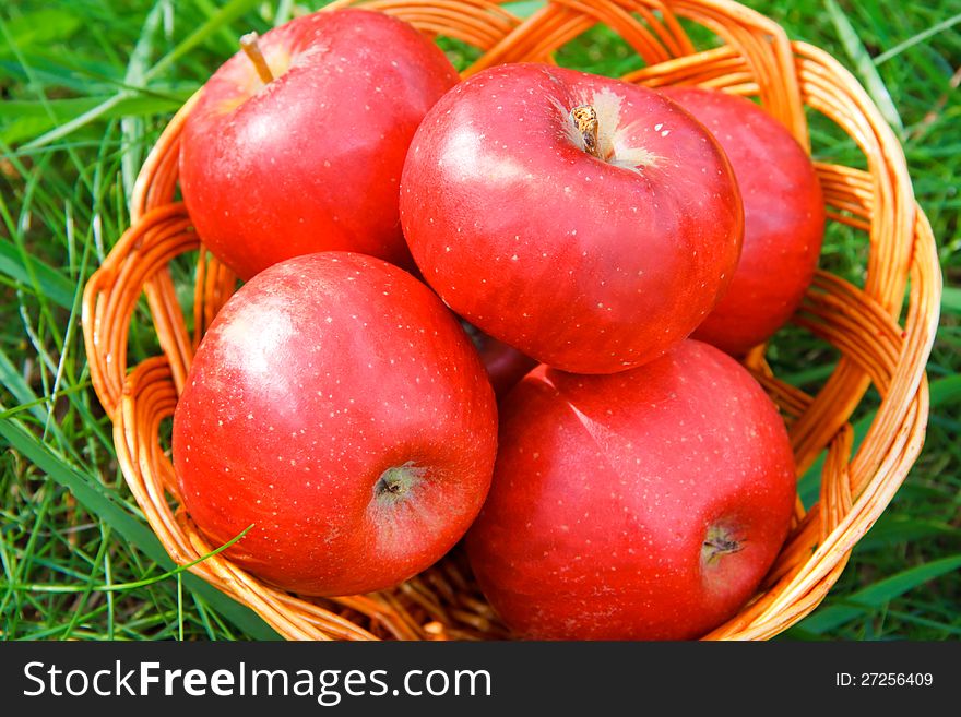 Apples in a basket on a background of green grass
